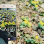 Mit dem digitalen Zeitalter haben sich auch für Hobbygärtner wie Maximilian Zieseniß und seinen Freund Michael Richter neue Möglichkeiten aufgetan, ihre Gärten effektiver und informativer zu pflegen. Garten-Apps sind praktische Helfer, die Gartenliebhabern dabei unterstützen, Pflanzen zur richtigen Zeit zu säen, die Blütezeit im Auge zu behalten und den Überblick über anfallende Gartenarbeiten zu wahren.